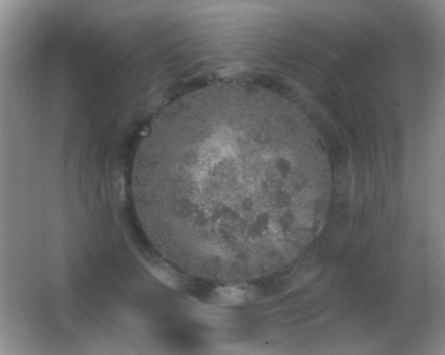 X0000062910703200601131426