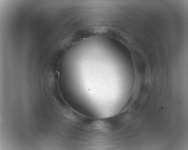 X0000062910704200601131426