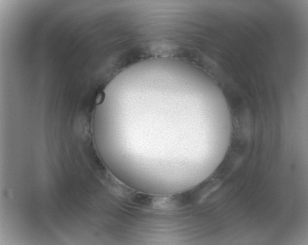 X0000062910705200601131426