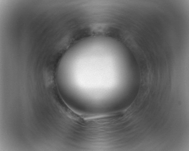 X0000062910706200601131426