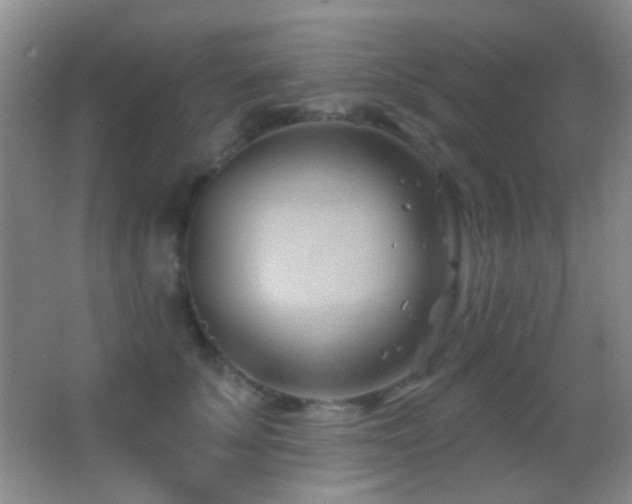 X0000062910707200601131426