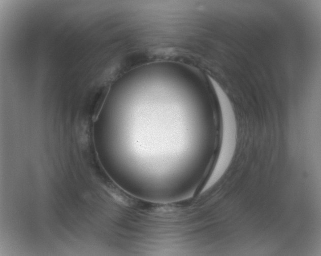 X0000062910708200601131426