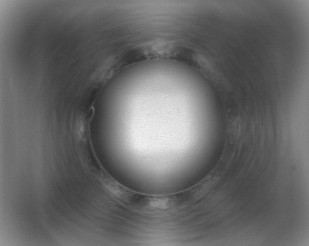 X0000062910709200601131426