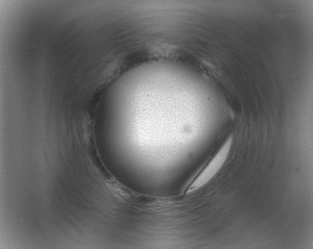 X0000062910712200601131426