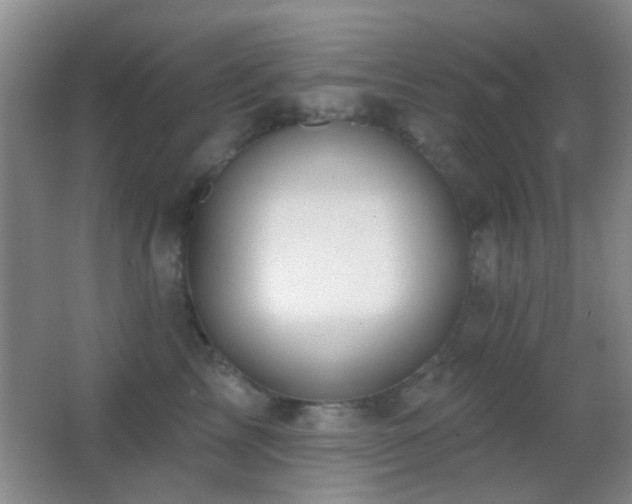 X0000062910713200601131426