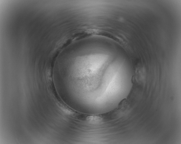 X0000062910714200601131426