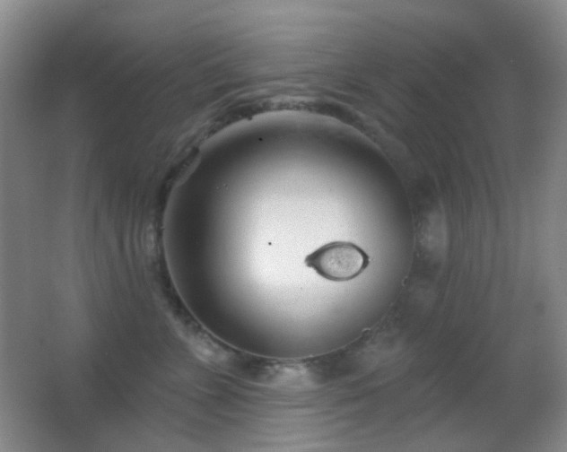 X0000062910715200601131426