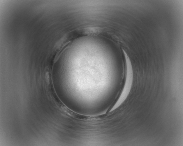 X0000062910716200601131426