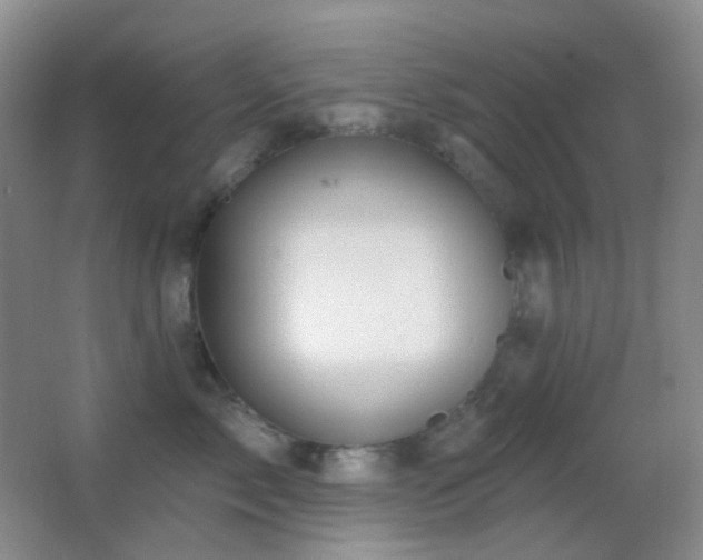 X0000062910717200601131426