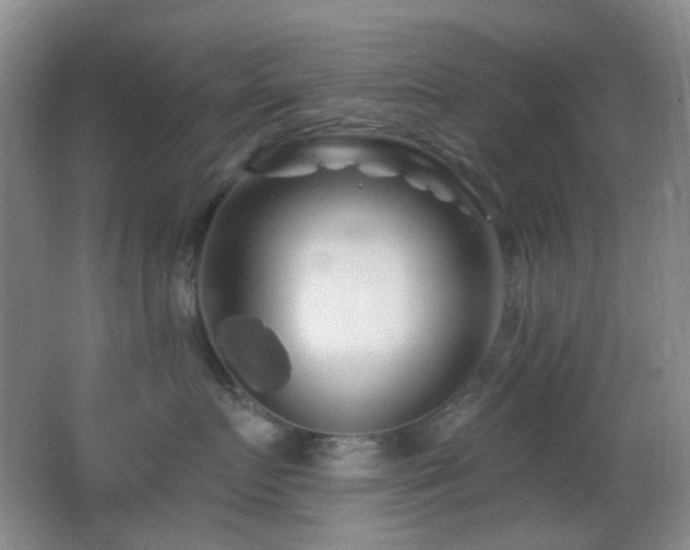 X0000062910719200601131426