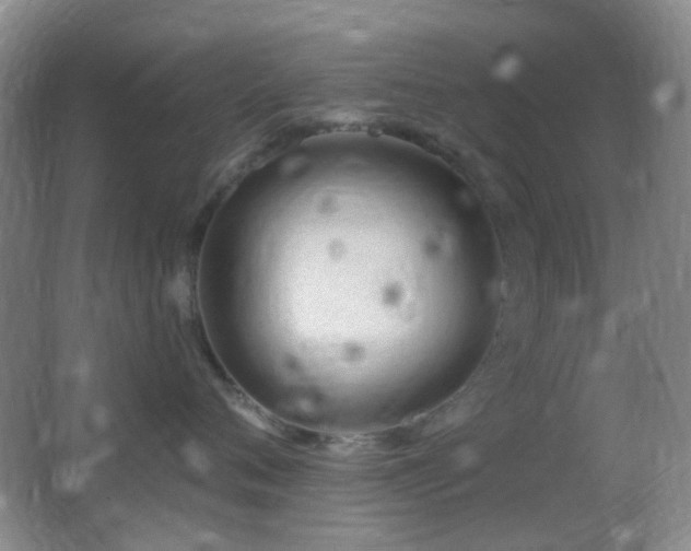 X0000062910720200601131426