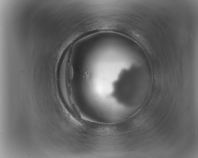 X0000062910721200601131425