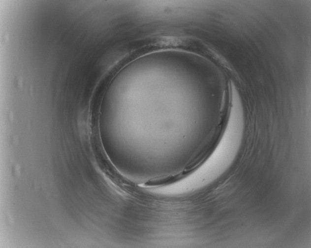 X0000062910722200601131425