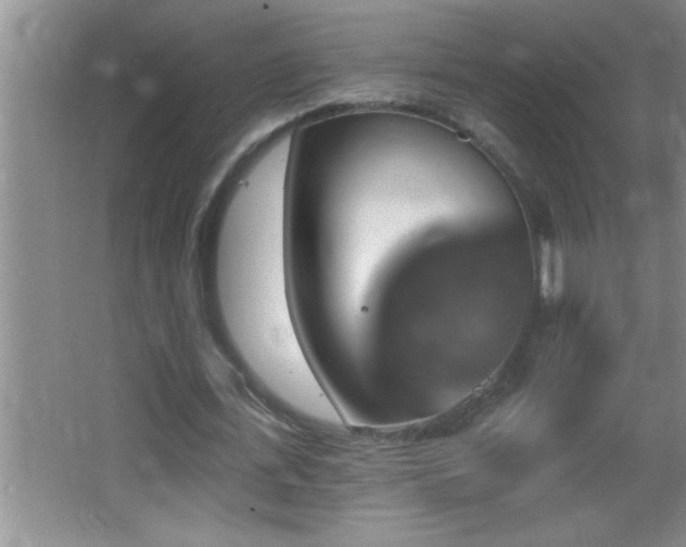 X0000062910723200601131425