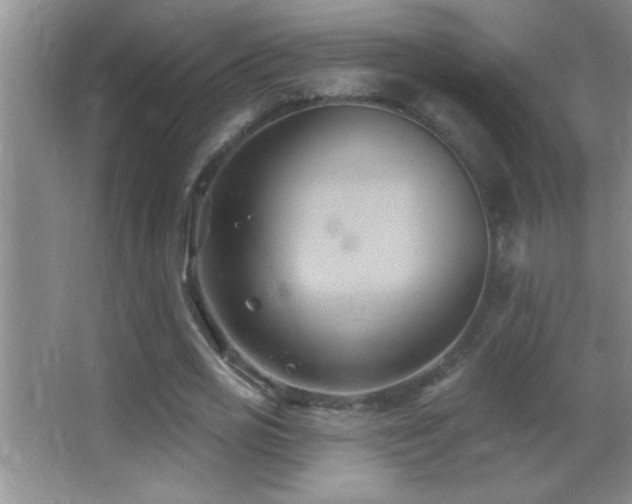 X0000062910725200601131425