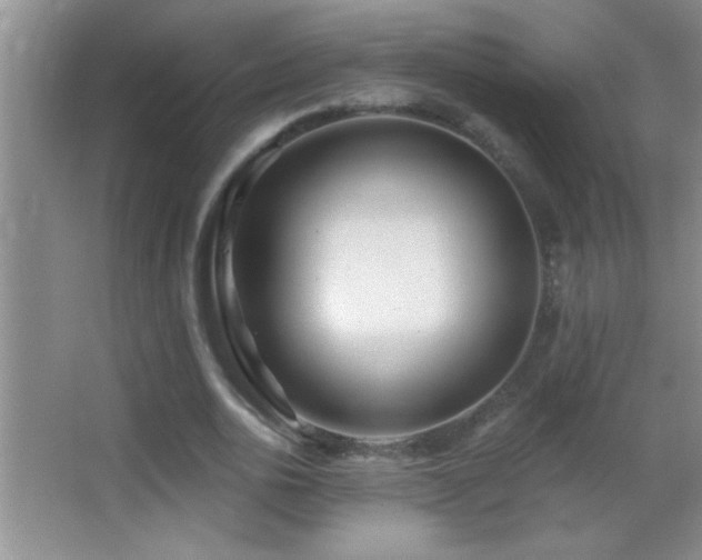 X0000062910726200601131425