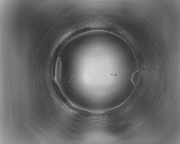 X0000062910727200601131425