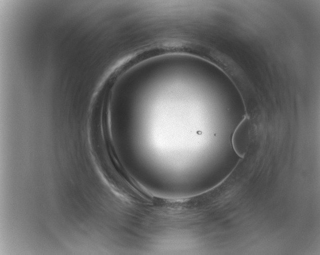 X0000062910728200601131425