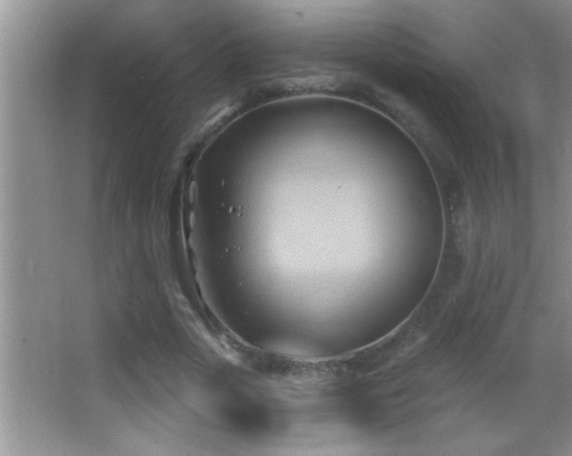 X0000062910729200601131425