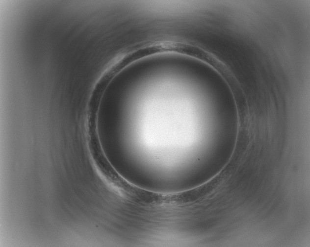 X0000062910730200601131425