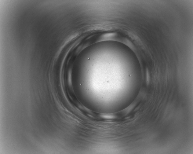 X0000062910731200601131425