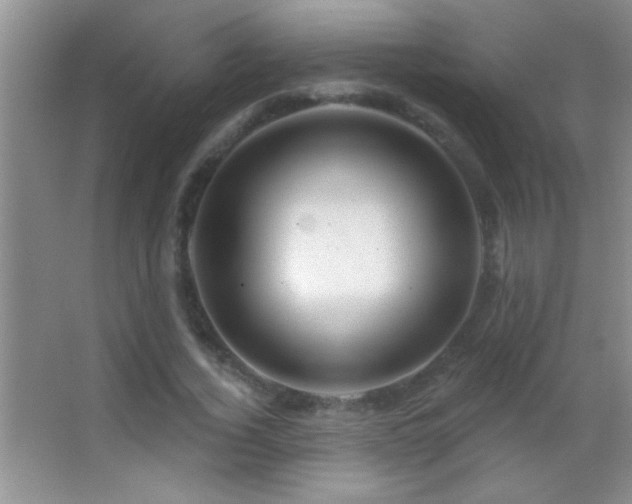 X0000062910732200601131425