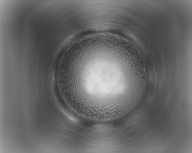 X0000062910733200601131425