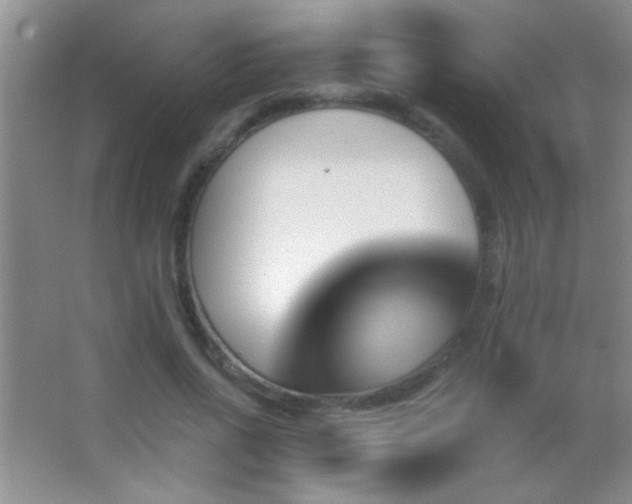 X0000062910734200601131425