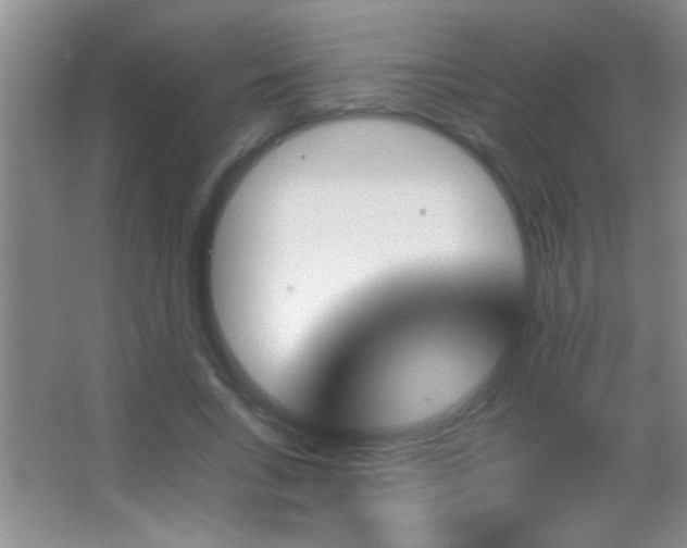 X0000062910735200601131425