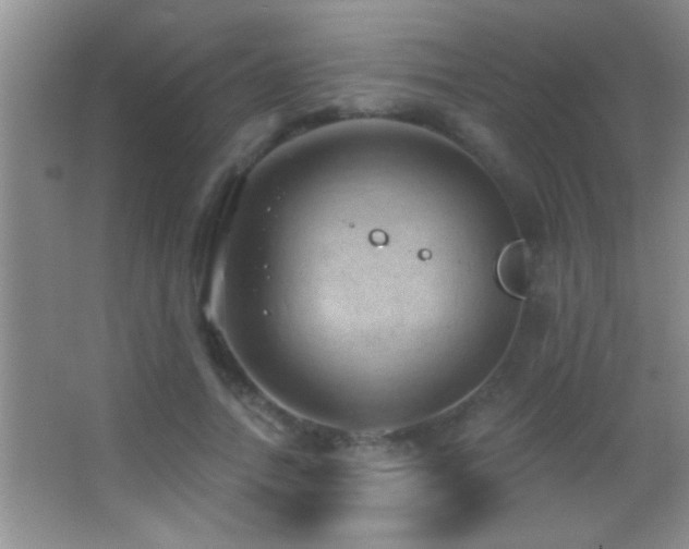 X0000062910738200601131425