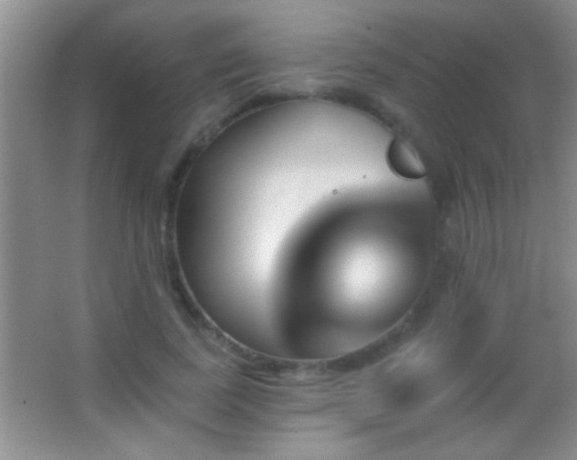 X0000062910739200601131425