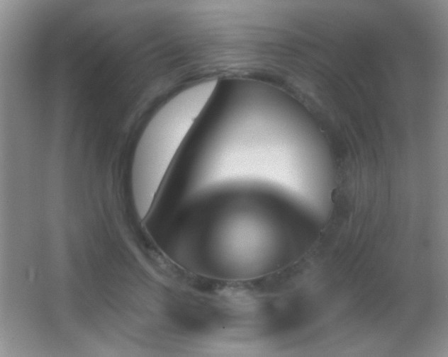 X0000062910742200601131425