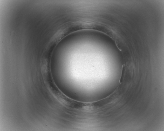 X0000062910744200601131426