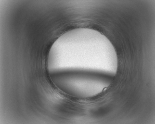 X0000062910745200601131426