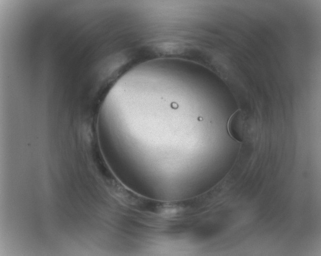 X0000062910746200601131426