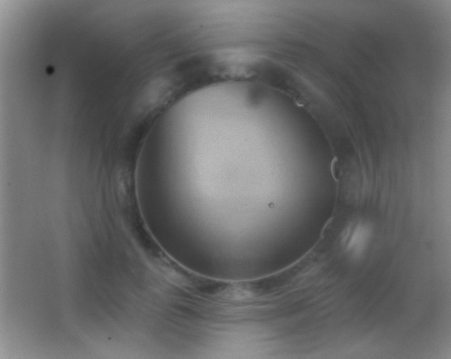 X0000062910747200601131426