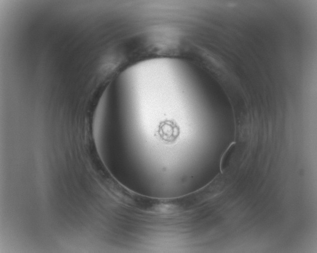 X0000062910748200601131426