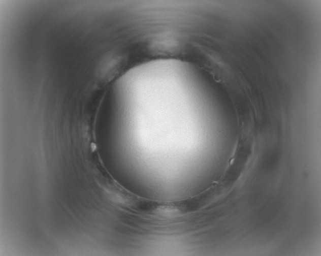 X0000062910749200601131426