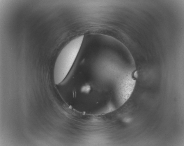 X0000062910750200601131426