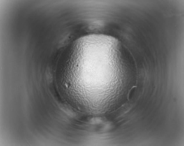 X0000062910751200601131426