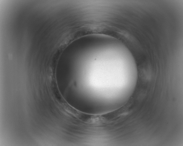 X0000062910752200601131426