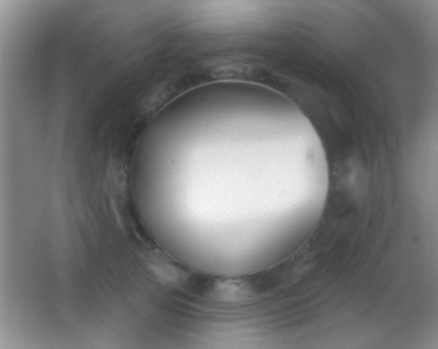 X0000062910753200601131426