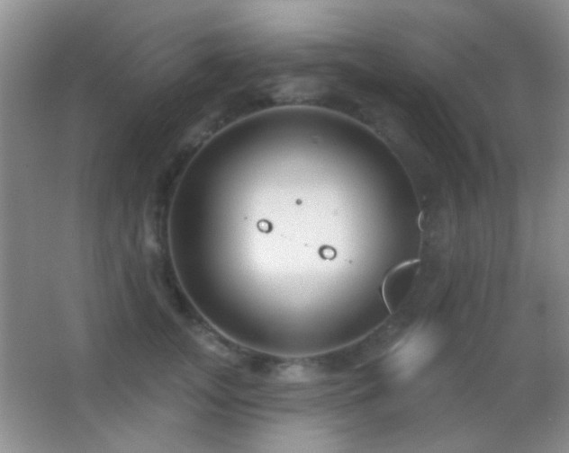 X0000062910755200601131426