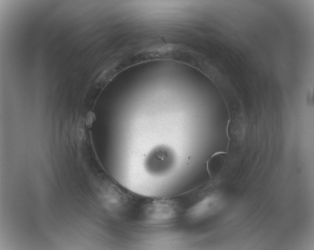 X0000062910758200601131426