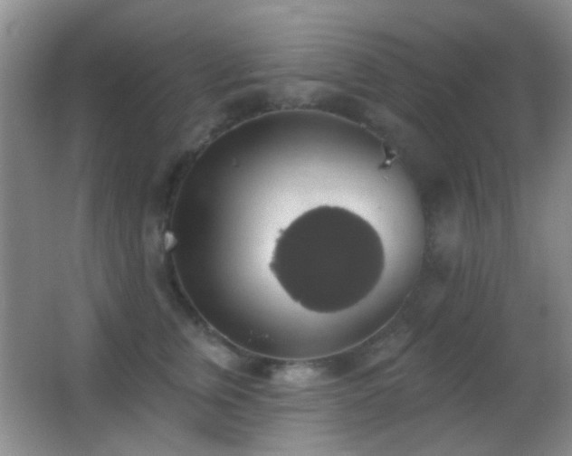 X0000062910759200601131426