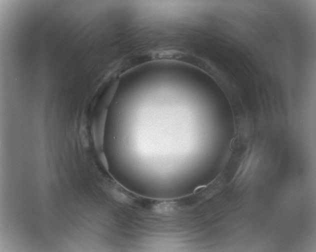 X0000062910761200601131426