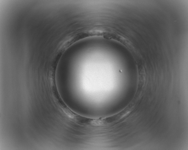 X0000062910762200601131426