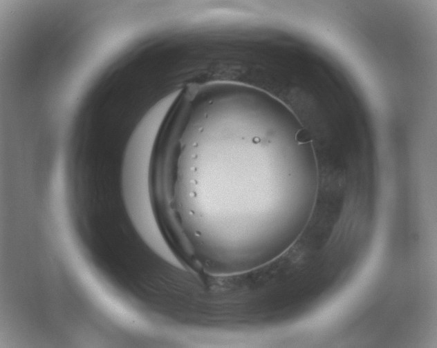 X0000062910765200601131426