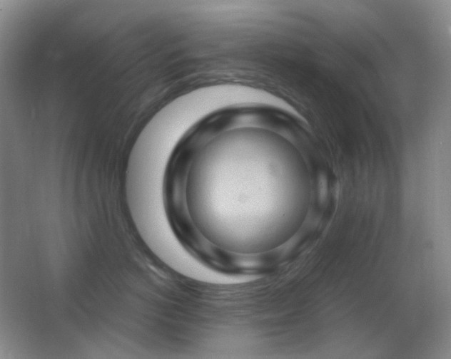 X0000062910766200601131426