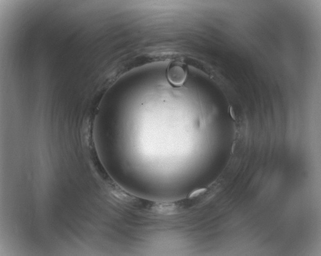 X0000062910767200601131426